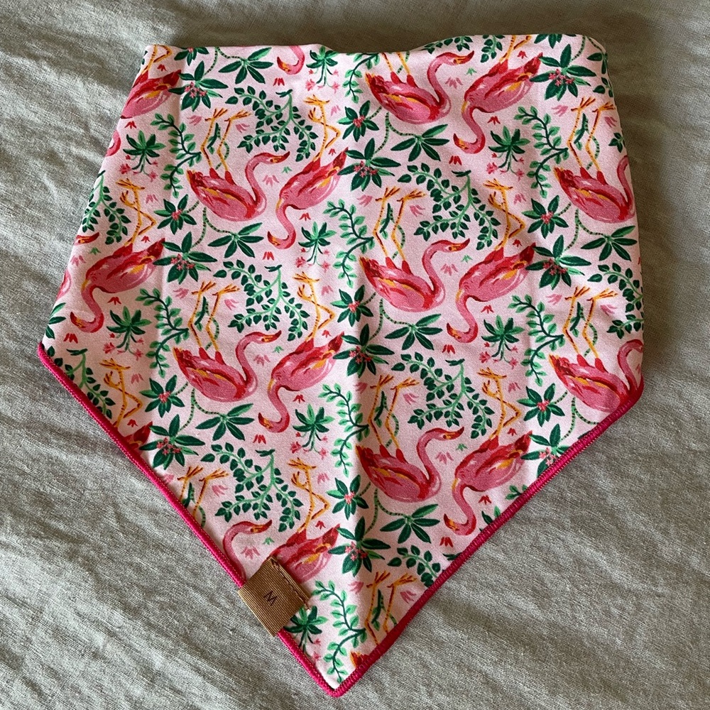 The Foggy Dog Bandana - Picture 8 of 12